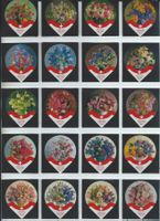 KRD Sag`s mit Blumen 1993      PS 14/93